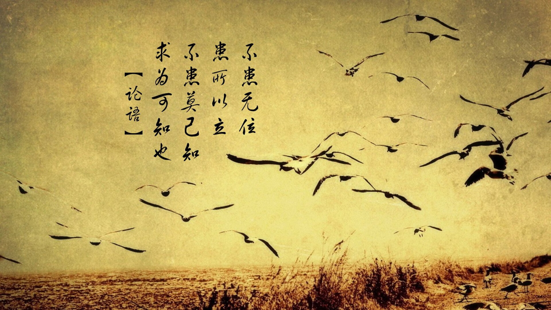 Kaiyun官方登录入口-“法甲劲旅鏖战，积分榜变化频繁令人震惊”，法甲积分榜规则