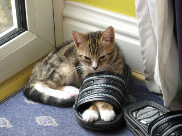 开云网页版登录入口-【平局后怎么玩】加时赛新规让每场比赛都值得期待，加时算平局吗