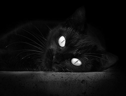 日本男足全场高能,打出高水平!,日本男足阵型