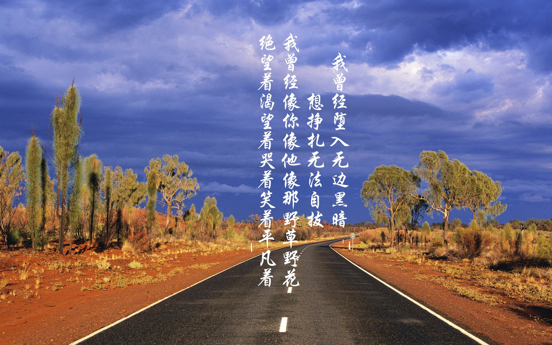 上海海港新援首秀表现抢眼,上海海港官宣