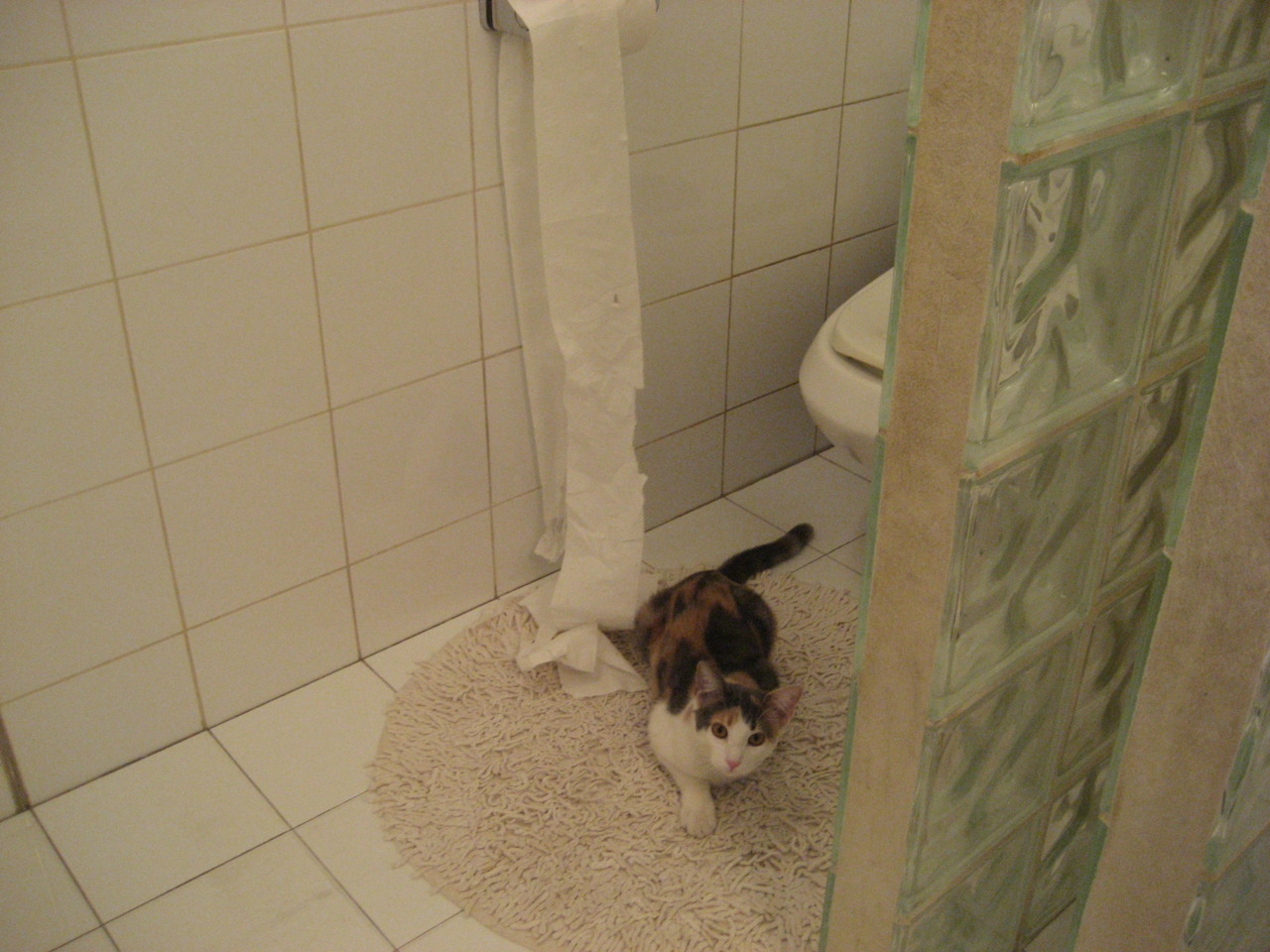 天津泰达前锋踢进绝杀球,队员士气高涨,天津泰达前锋踢进绝杀球,队员士气高涨了吗