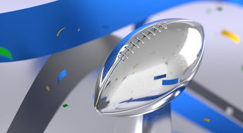 开云官方网页登录-青少年体育运动参与的心理动因及影响研究，关于青少年运动员心理发展的影响因素