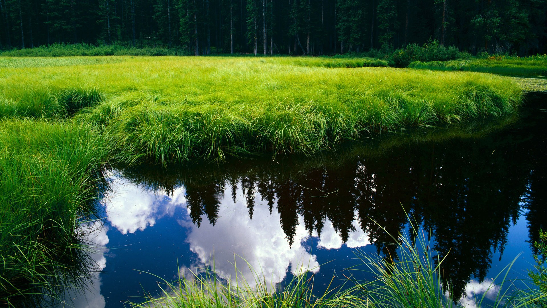 kaiyun登录入口-青少年体育活动组织方案完善，实施青少年体育活动促进计划培育青少年体育爱好