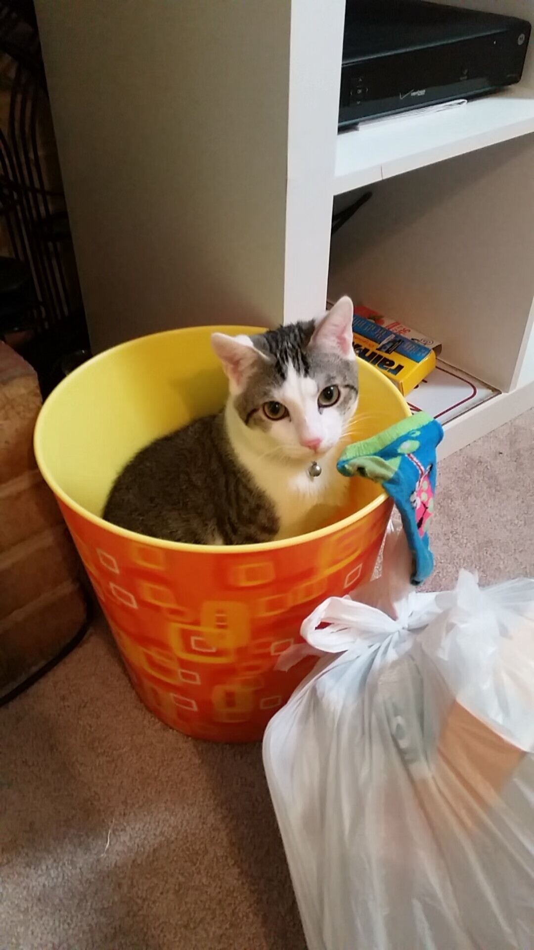 CBA各球队加强对外援的考察和管理，cba外援政策解读