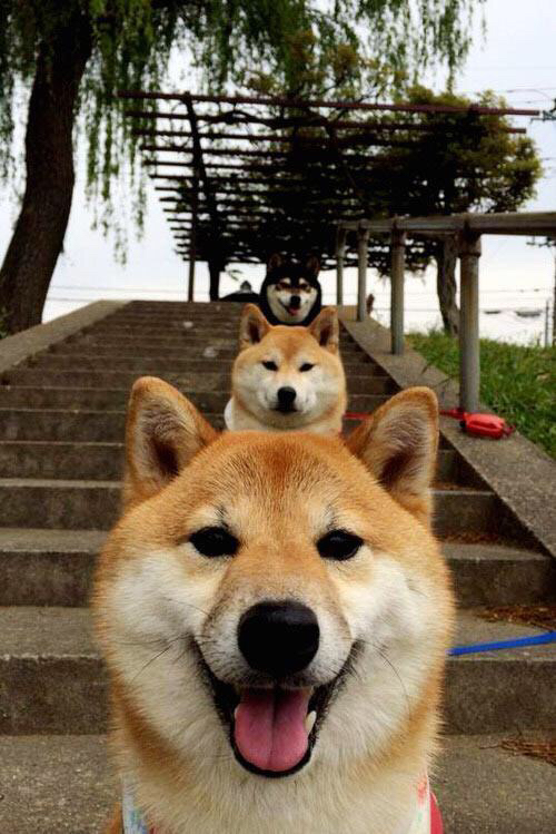 “举重赛场:高新体育中心选手背负全球期待,力争最高荣耀”