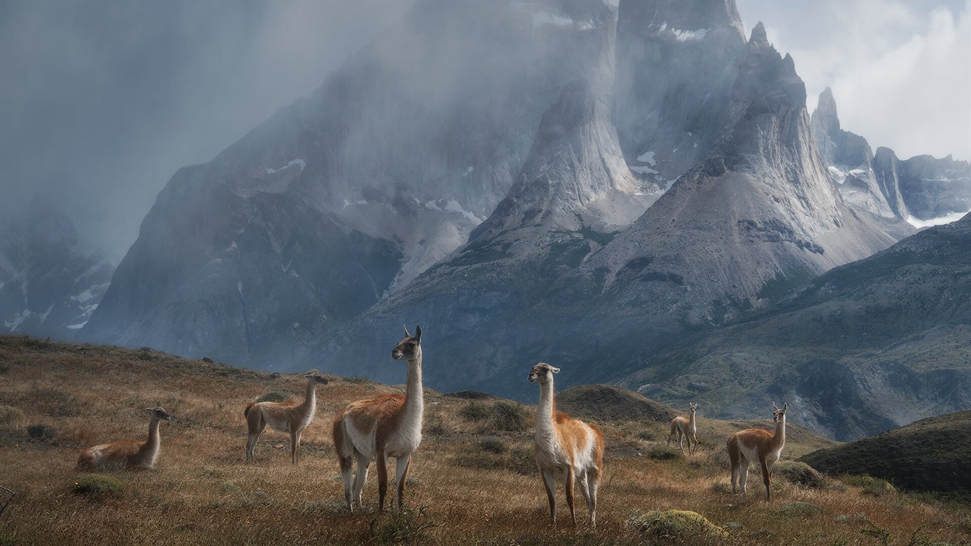 奥预赛中国足球晋级 球迷为球队加油,2020足球奥预赛