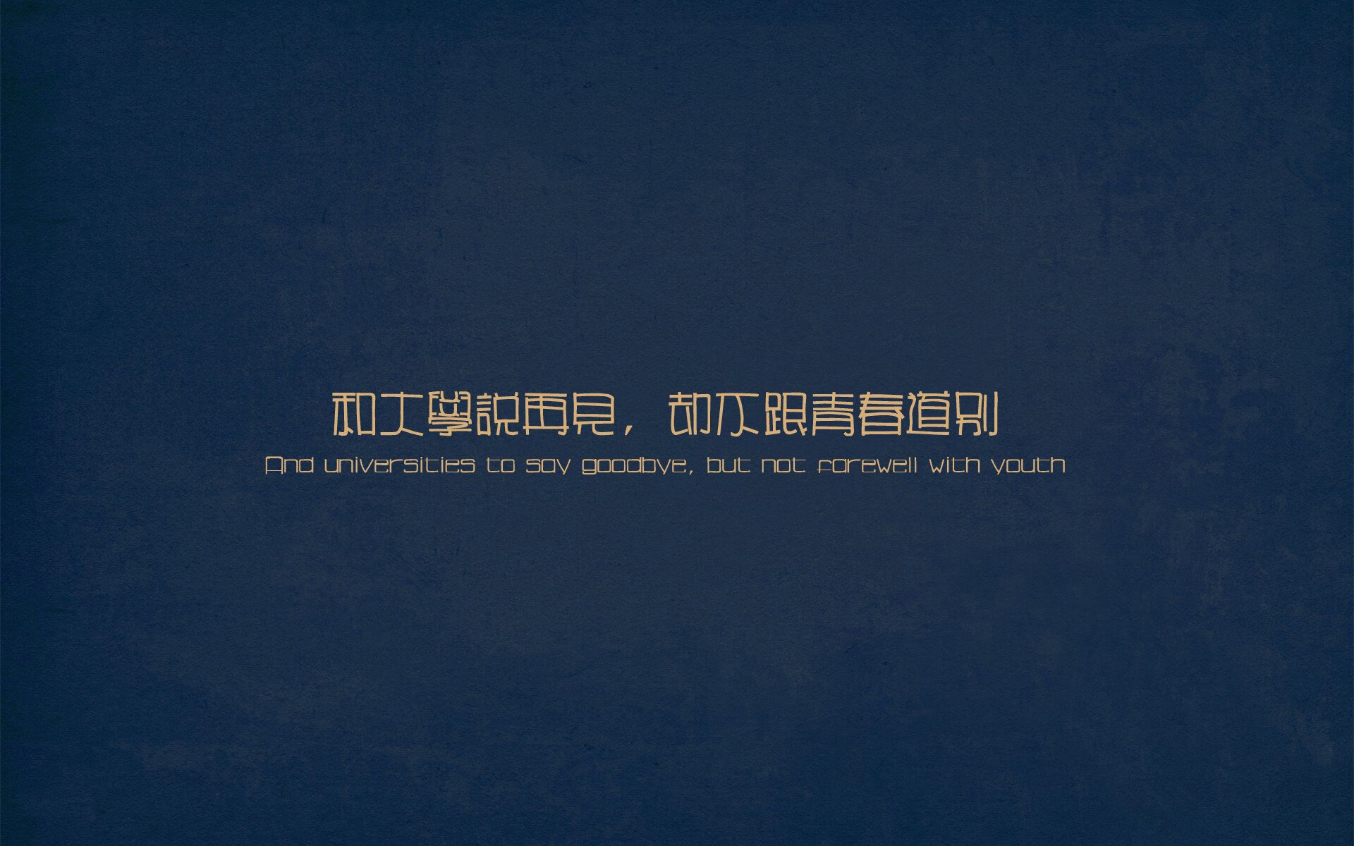 澳德蝶泳高频划水策略效果对比