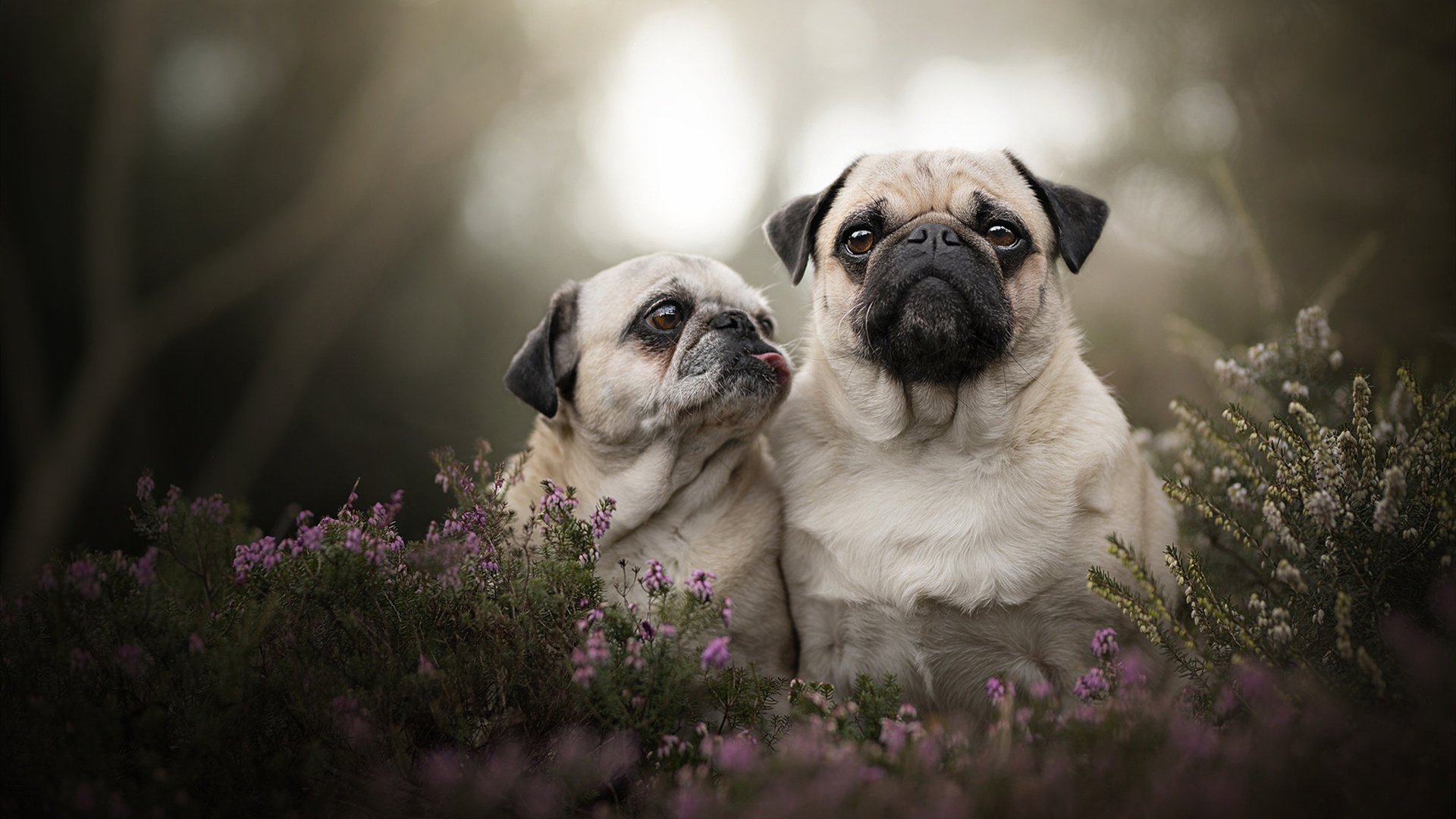 克洛普不断革新战术,带领利物浦追求卓越