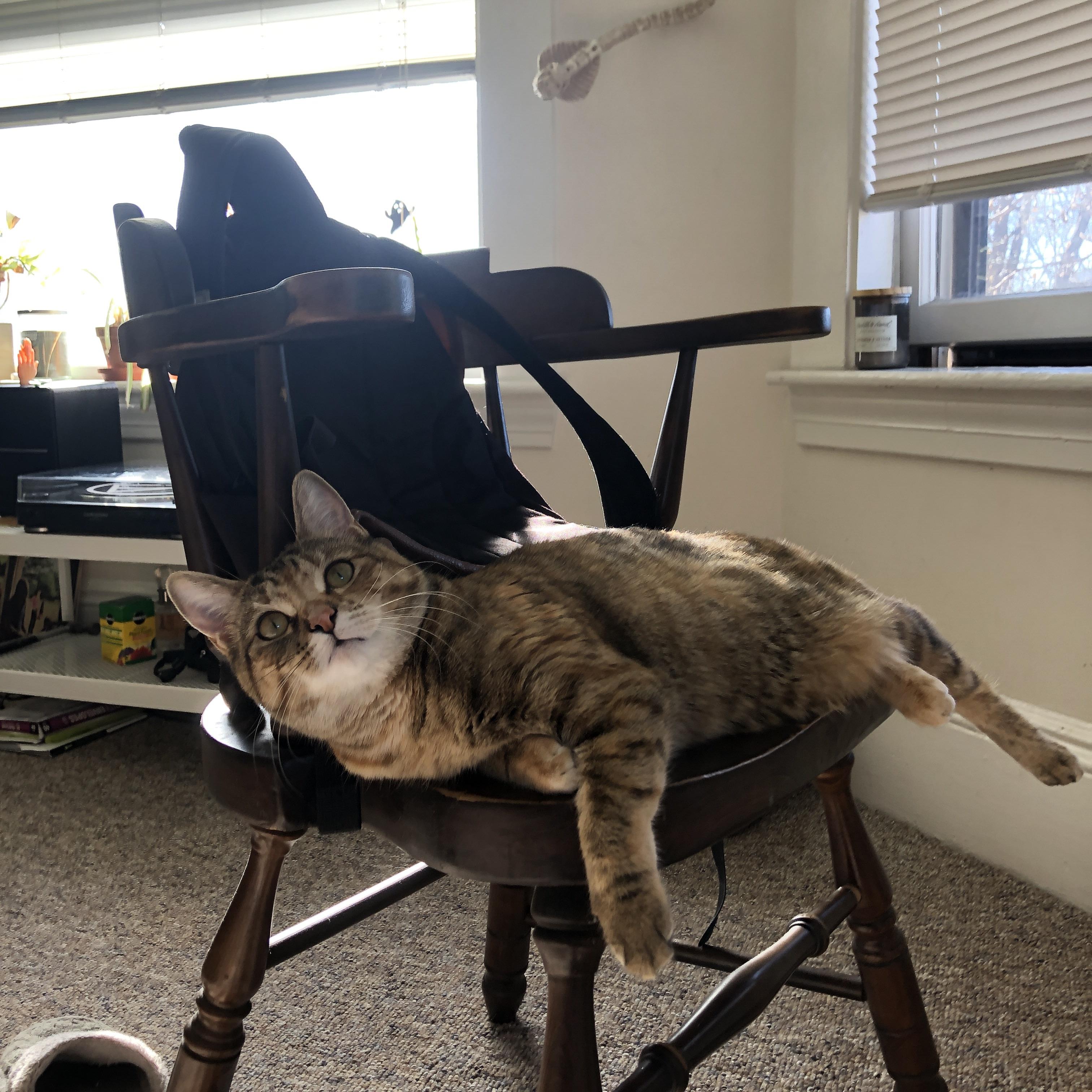 卡普尔通过强力冲击,打破对手防线,创造进攻机会,卡普尔是什么种姓