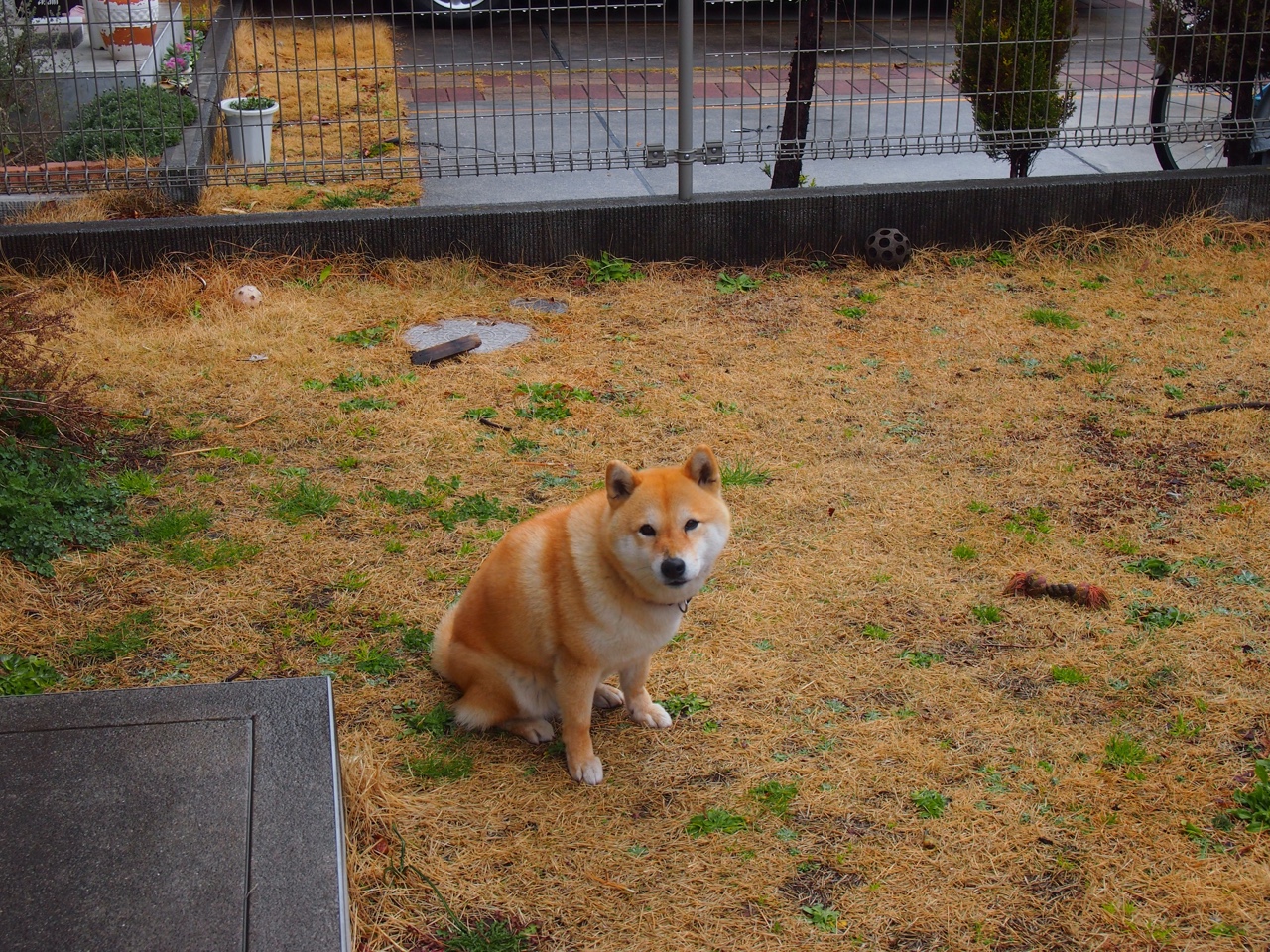 kaiyun开云·官方网站-欧洲杯战术升级：新布局带来新奇迹！，欧洲杯技术