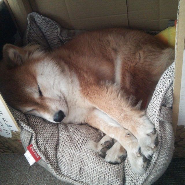 kaiyun.com-网球公开赛精彩比赛盘点，网球公开赛时间表