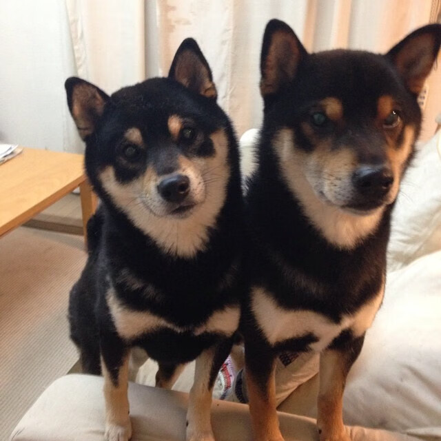 开云官网-绿色科技在足球场馆中的应用不断深化，推动行业绿色转型，绿色科技俱乐部