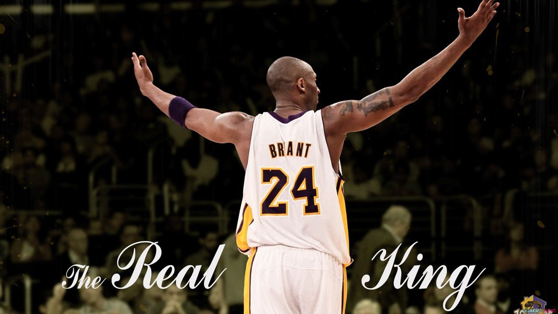 _室内排球锦标赛：不同场地同样精彩_，室内排球的比赛场地