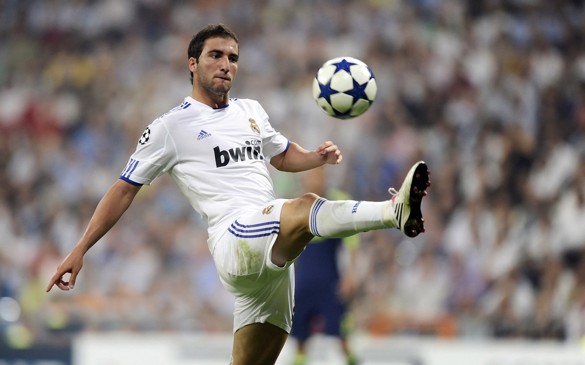 布鲁诺·卡博克洛成为NBA国际球员代表,布鲁诺卡波科洛集锦