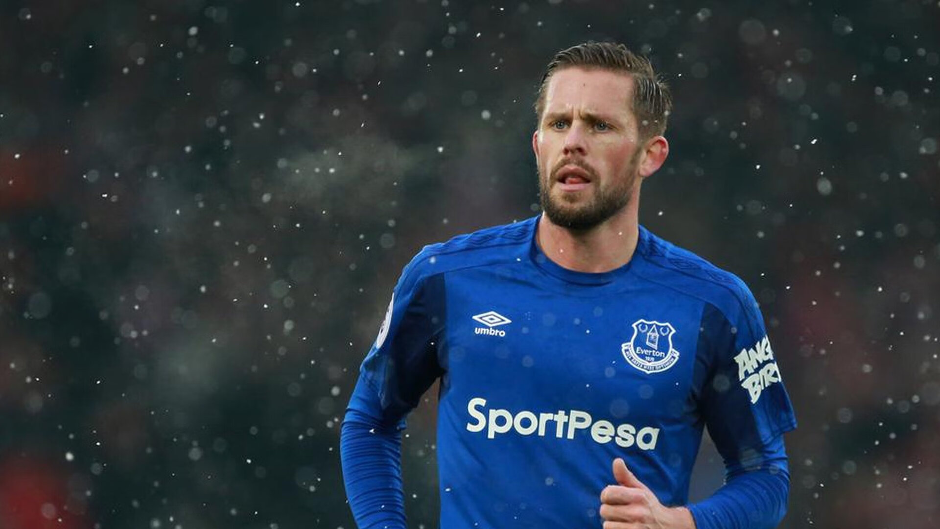 潜力“黑马”崛起:未来几年的巨大可期,2021年潜力黑马股